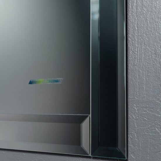 VEIDRODIS SU VEIDRODINIU RĖMU