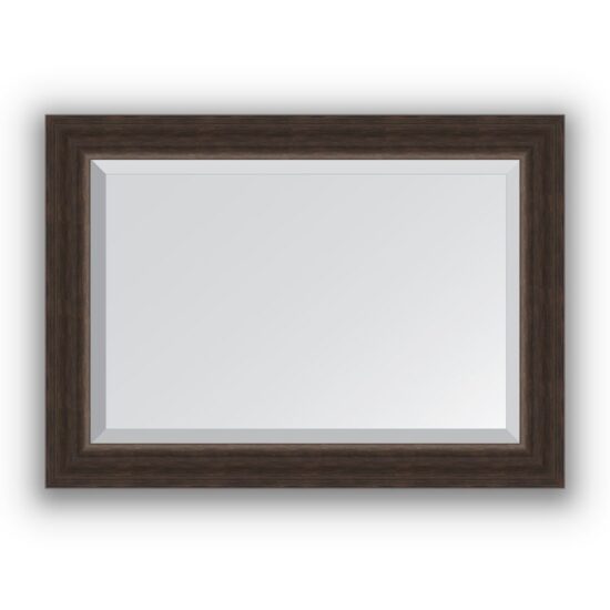 Veidrodis su rėmu 51x71