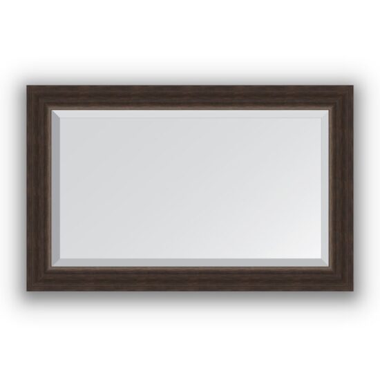 Veidrodis su rėmu 51x81