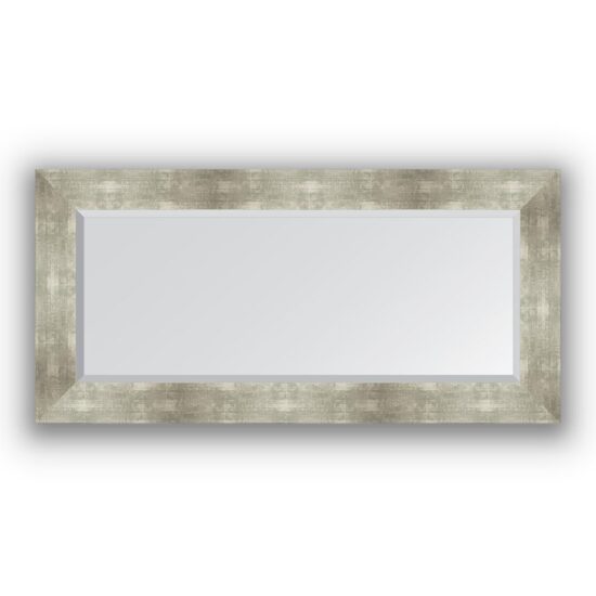 Veidrodis su rėmu 56x116