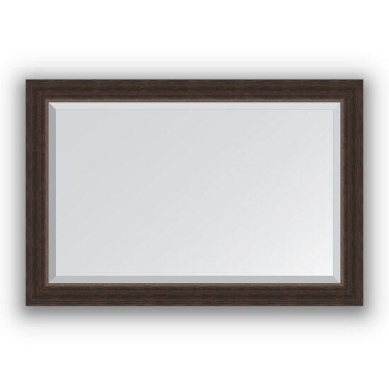 Veidrodis su rėmu 61x91