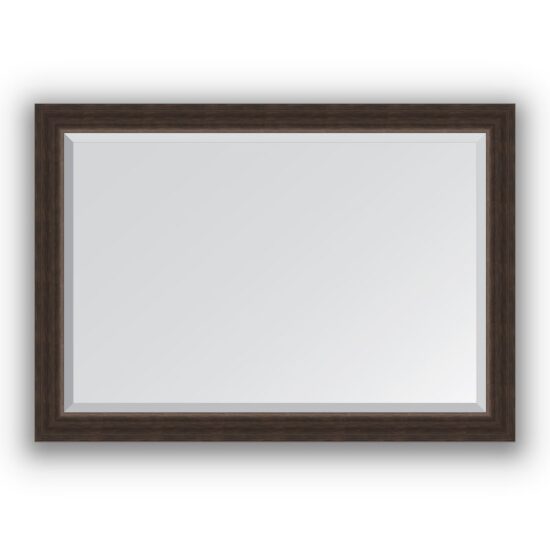 Veidrodis su rėmu 71x101