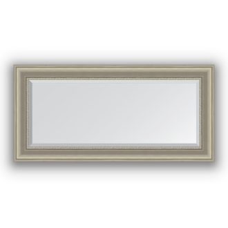 Veidrodis su rėmu 56x116