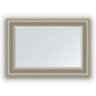 Veidrodis su rėmu 66x96