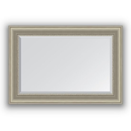 Veidrodis su rėmu 66x96