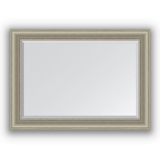 Veidrodis su rėmu 76x106