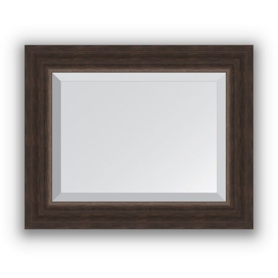 Veidrodis su rėmu 41x51