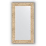 Veidrodis su rėmu 60x110