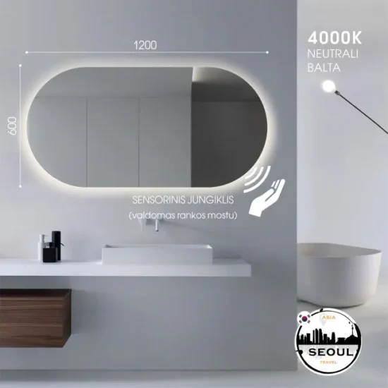 Ovalus veidrodis su apsvietimu 120x60