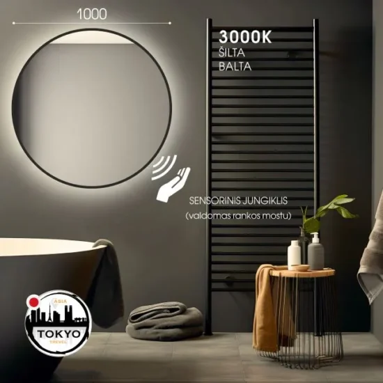 vonios veidrodis su juodu rtmu