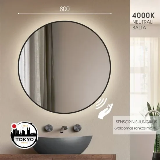 Bathroom mirror with black frame