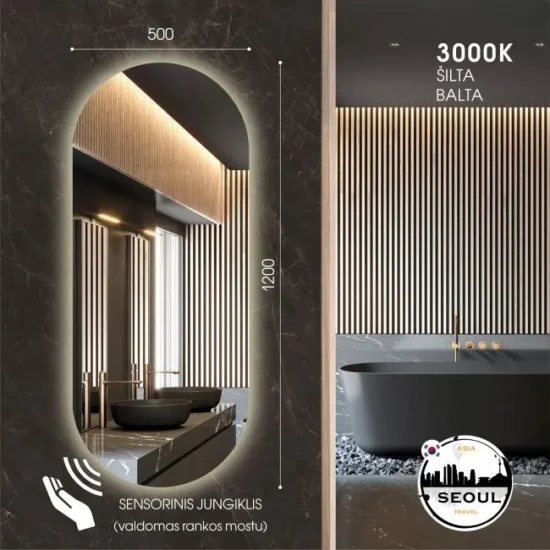 Ovalus veidrodis su apsvietimu 120x50