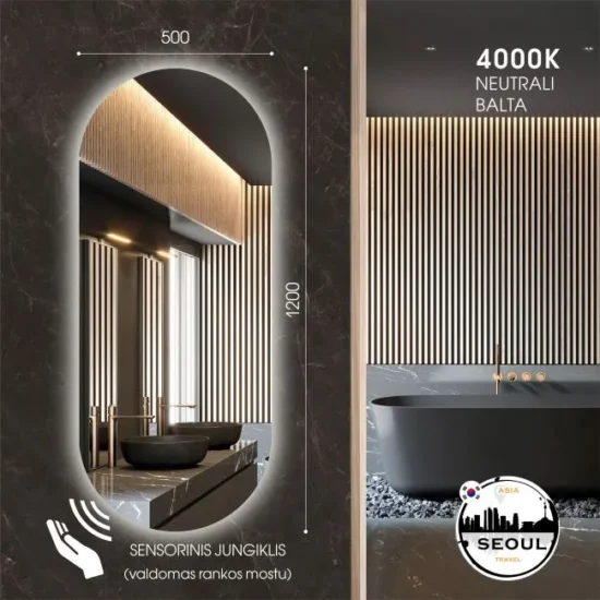 Ovalus veidrodis su apsvietimu 120x50