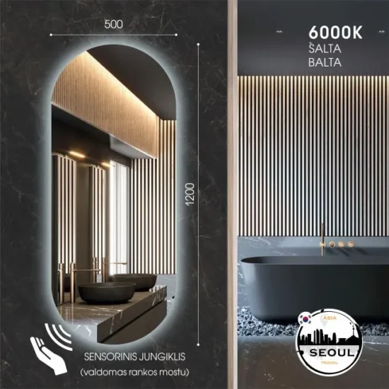 Ovalus veidrodis su apsvietimu 120x50