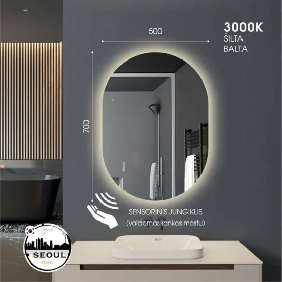 Ovalus veidrodis su apsvietimu 70x50