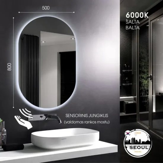 Ovalus veidrodis su apsvietimu 80x50