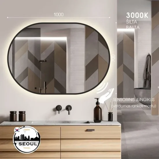 Ovalus veidrodis su led 100x70