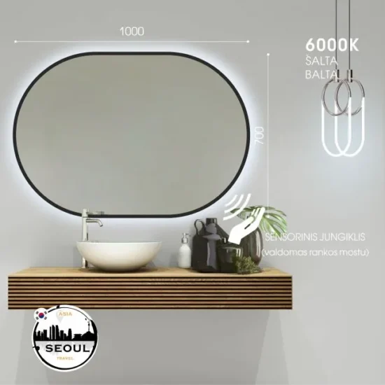 Ovalus veidrodis su led 100x70
