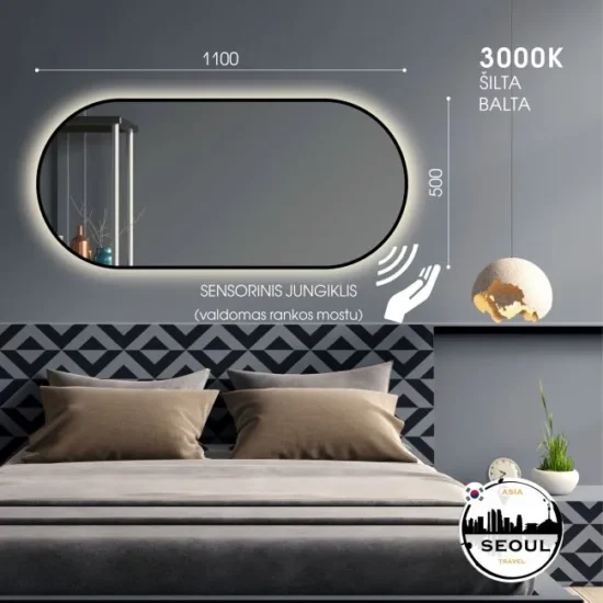 Ovalus veidrodis su LED 110x50