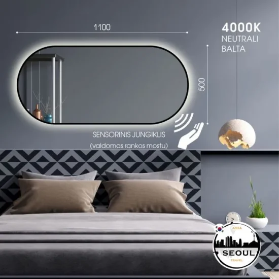 Ovalus veidrodis su LED 110x50