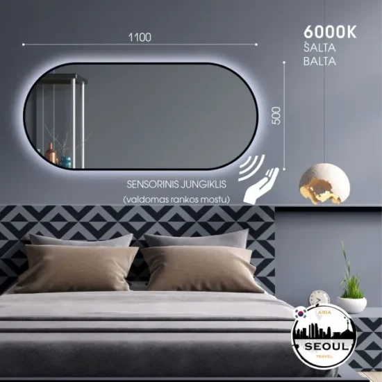 Ovalus veidrodis su LED 110x50