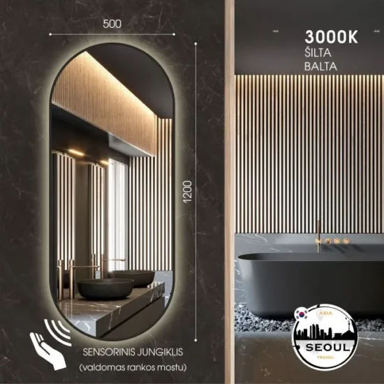 Oval mirror with LED 120x50