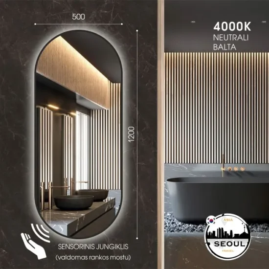 Oval mirror with LED 120x50