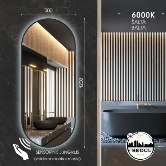 Oval mirror with LED 120x50