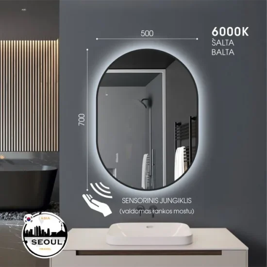 ovalus veidrodis su led 70x50