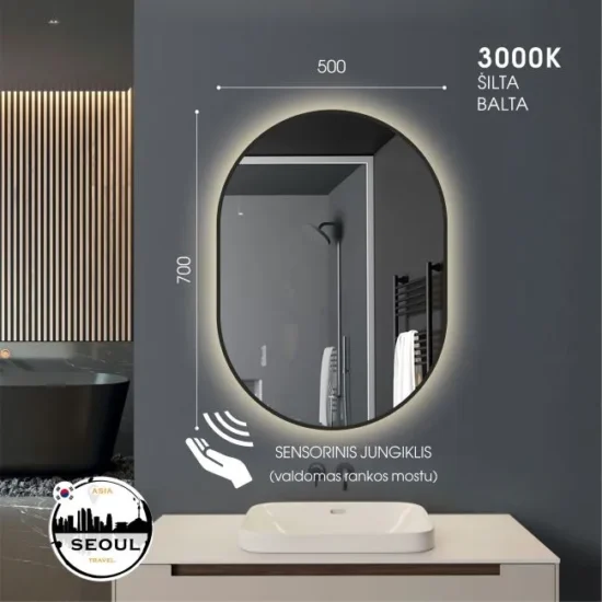 ovalus veidrodis su led