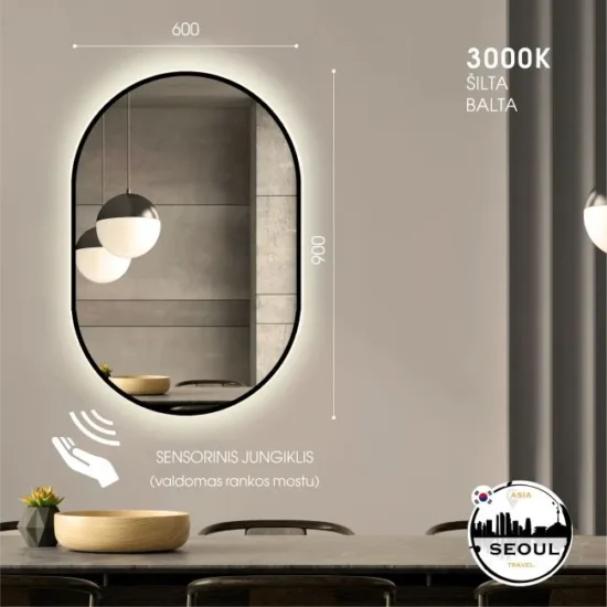 Ovalus veidrodis su led 90x60