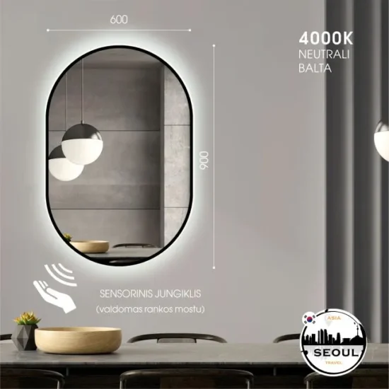 Ovalus veidrodis su led 90x60