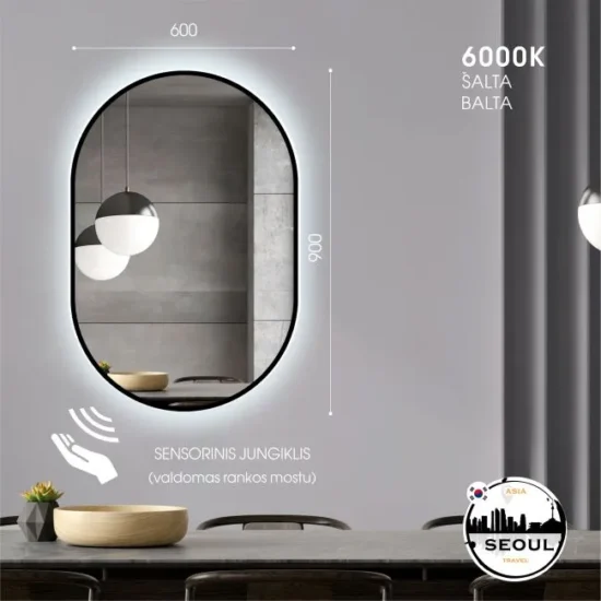 Ovalus veidrodis su led 90x60