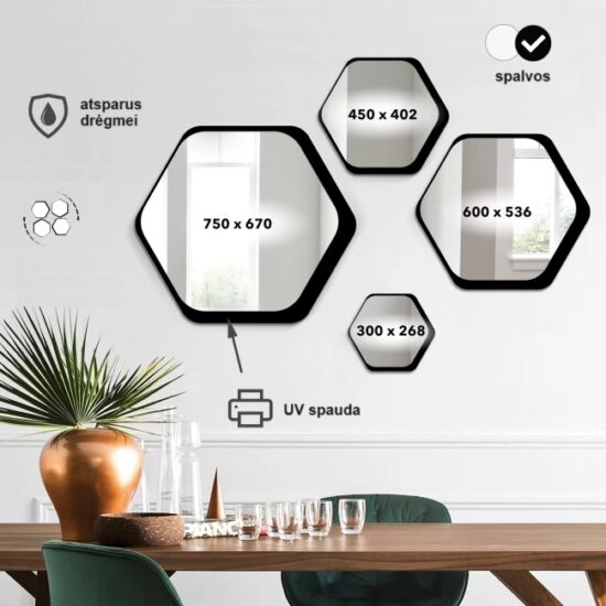 Korio formos veidrodis