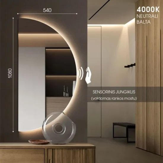 Pusmenulio formos veidrodis 54x108 cm