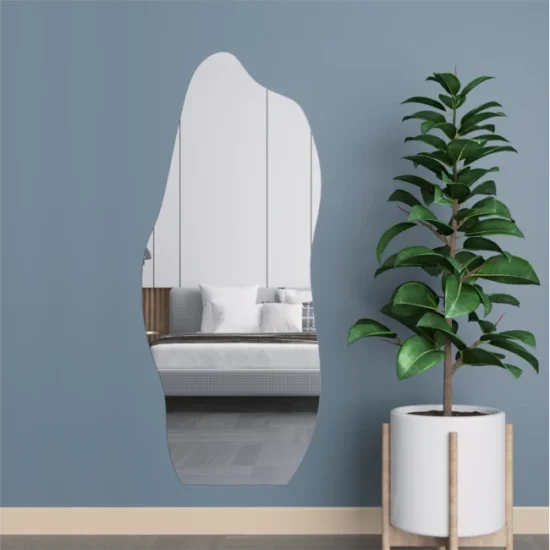 Netaisyklingos formos veidrodis 66x160 cm